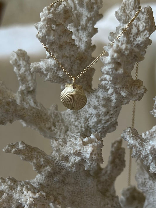 Naama seashell gold