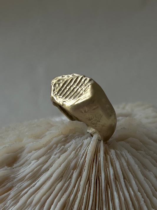 Pattern shell Ring -Gold