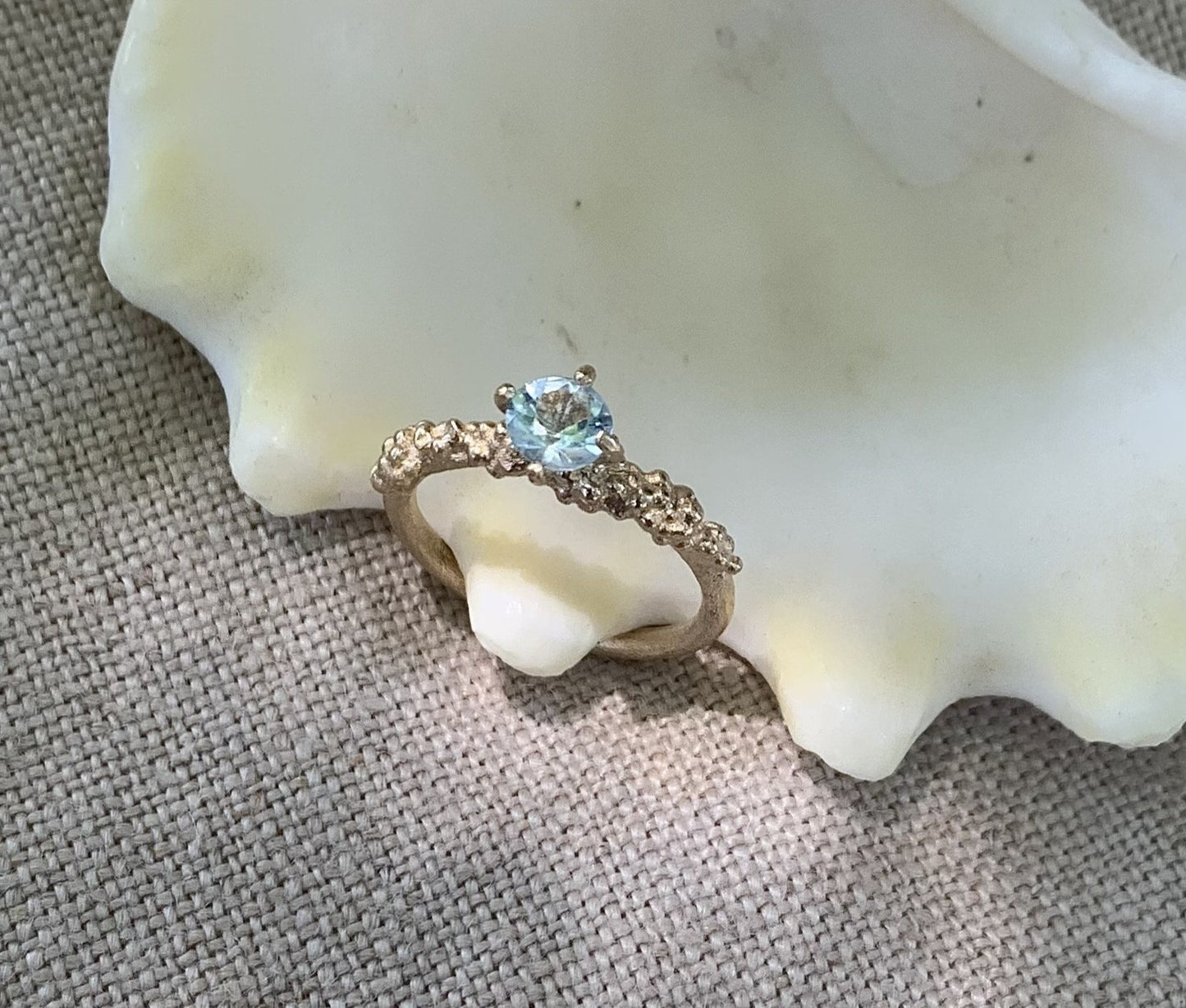 The Ocean Crown