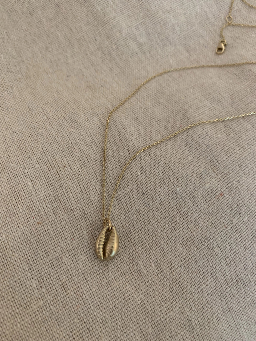 Baby cowrie seashell Gold