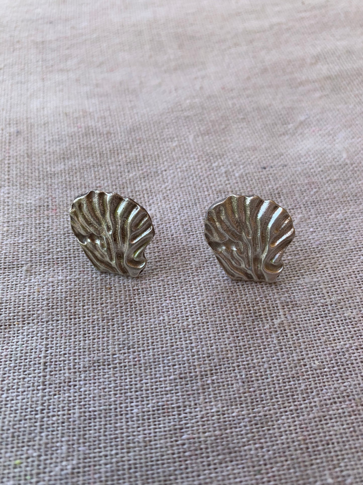 Fossil earrings
