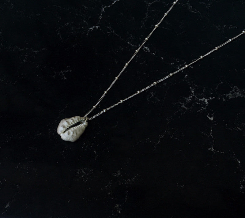 Daddy Cowrie Seashell