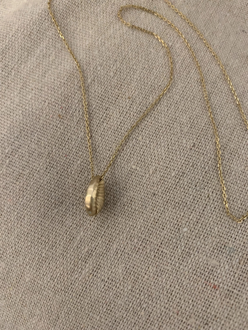 Baby cowrie seashell Gold