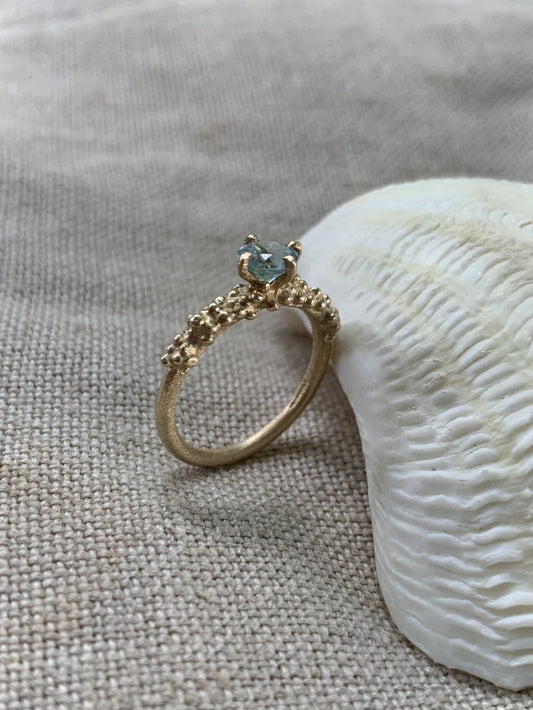 The Ocean Crown
