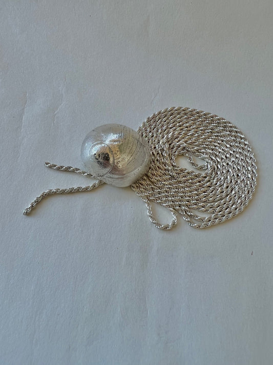 No°12 shell