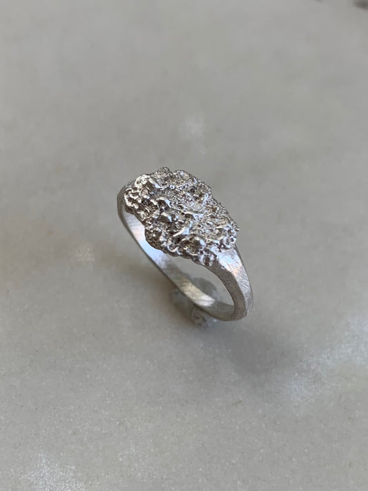 Bubbling Ring