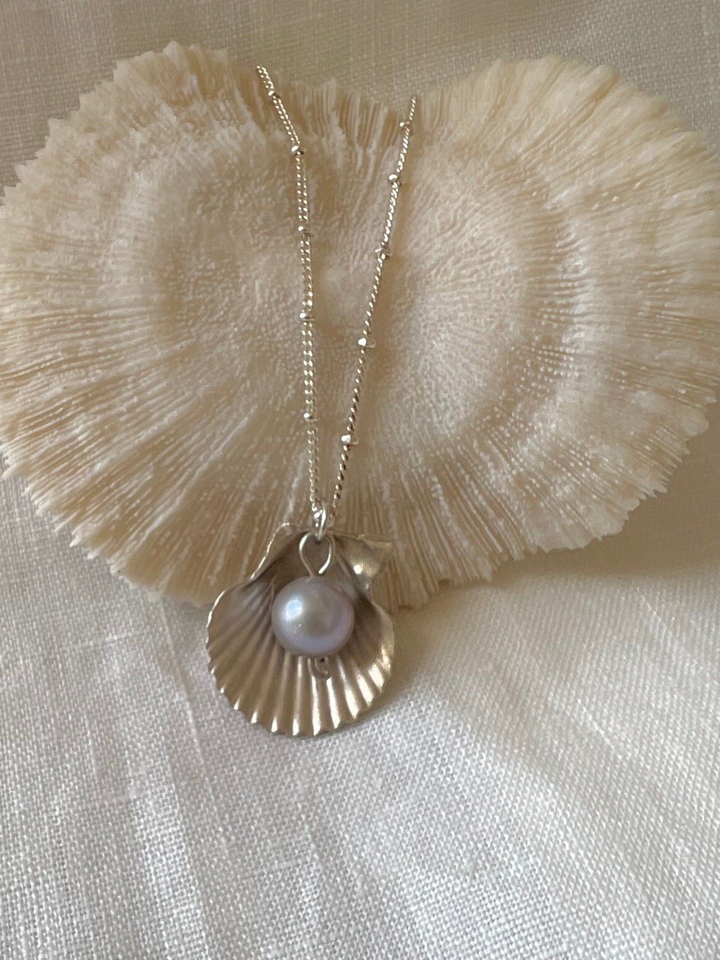 Pearl & Seashell