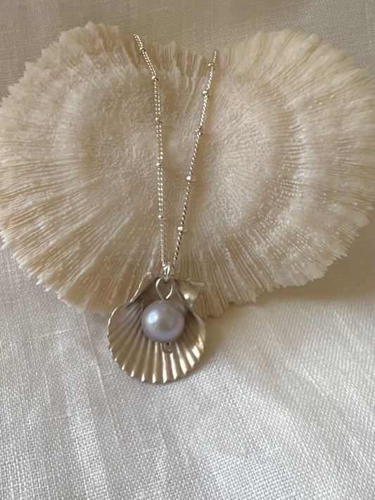Pearl & Seashell