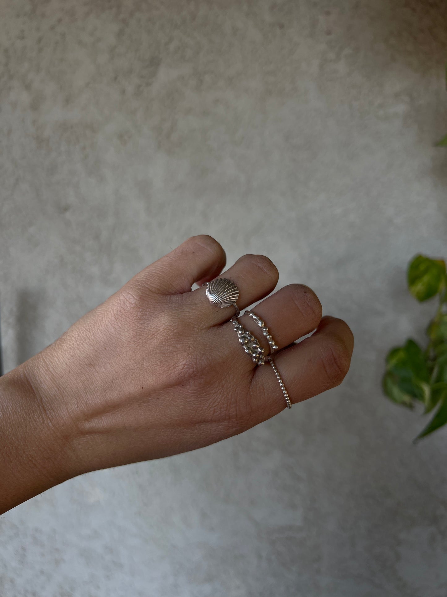 Israeli Seashell Ring