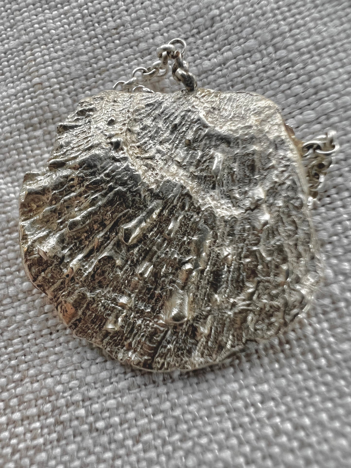 No°8 shell