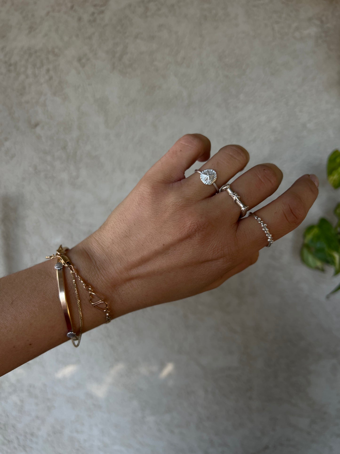 Sea Cookie Ring