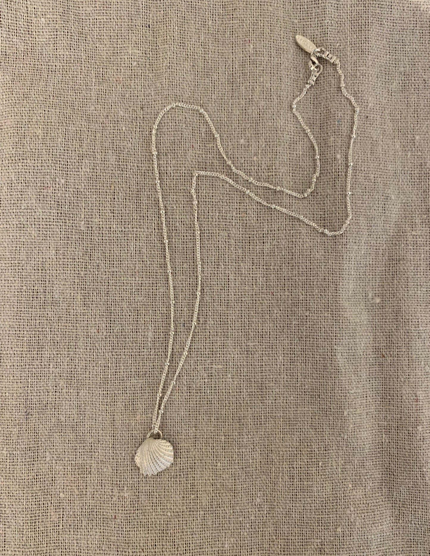 LIO Small Raw Seashell