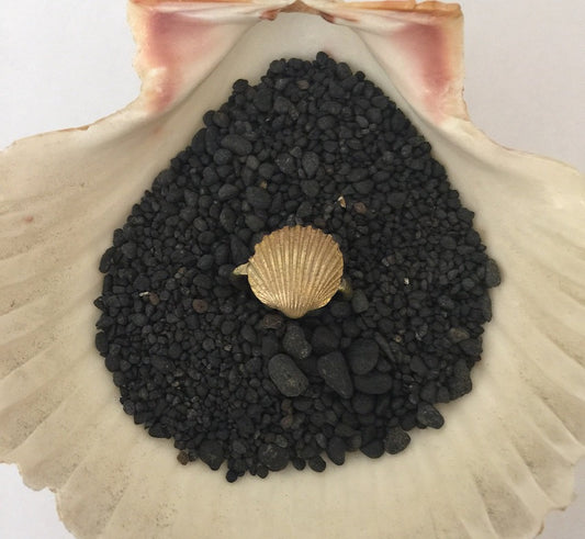 Israeli seashell ring Gold