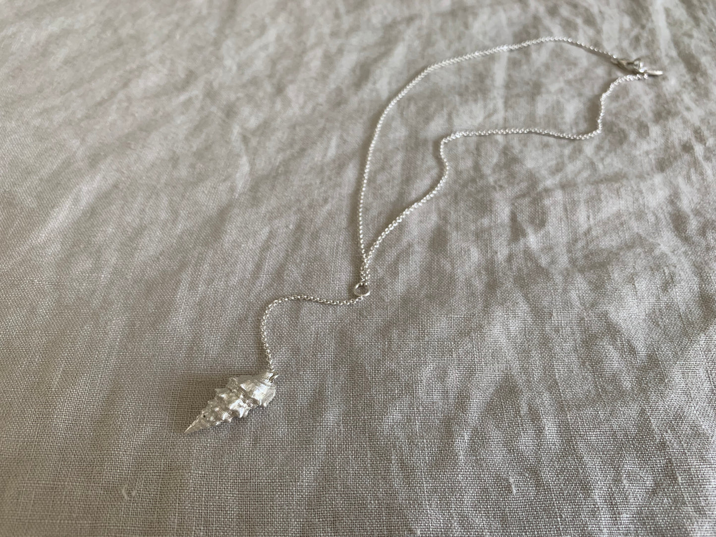 conch shell