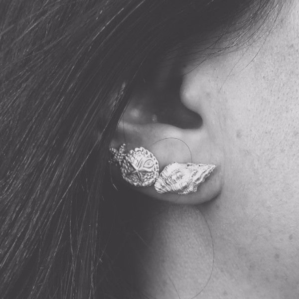 Sea Cookie stud gold