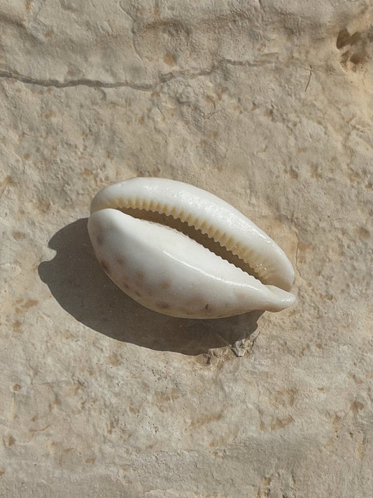 The Meaning of Shell Jewelry — Memory, Imperfection and the Quiet Freedom of the Sea