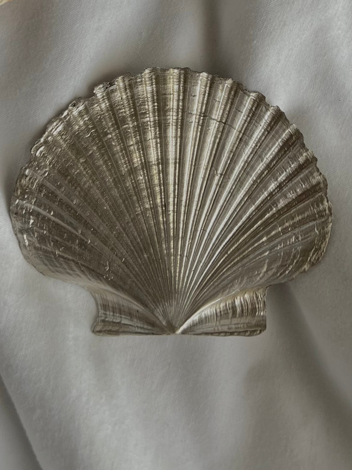 Silver Mexican shell plate
