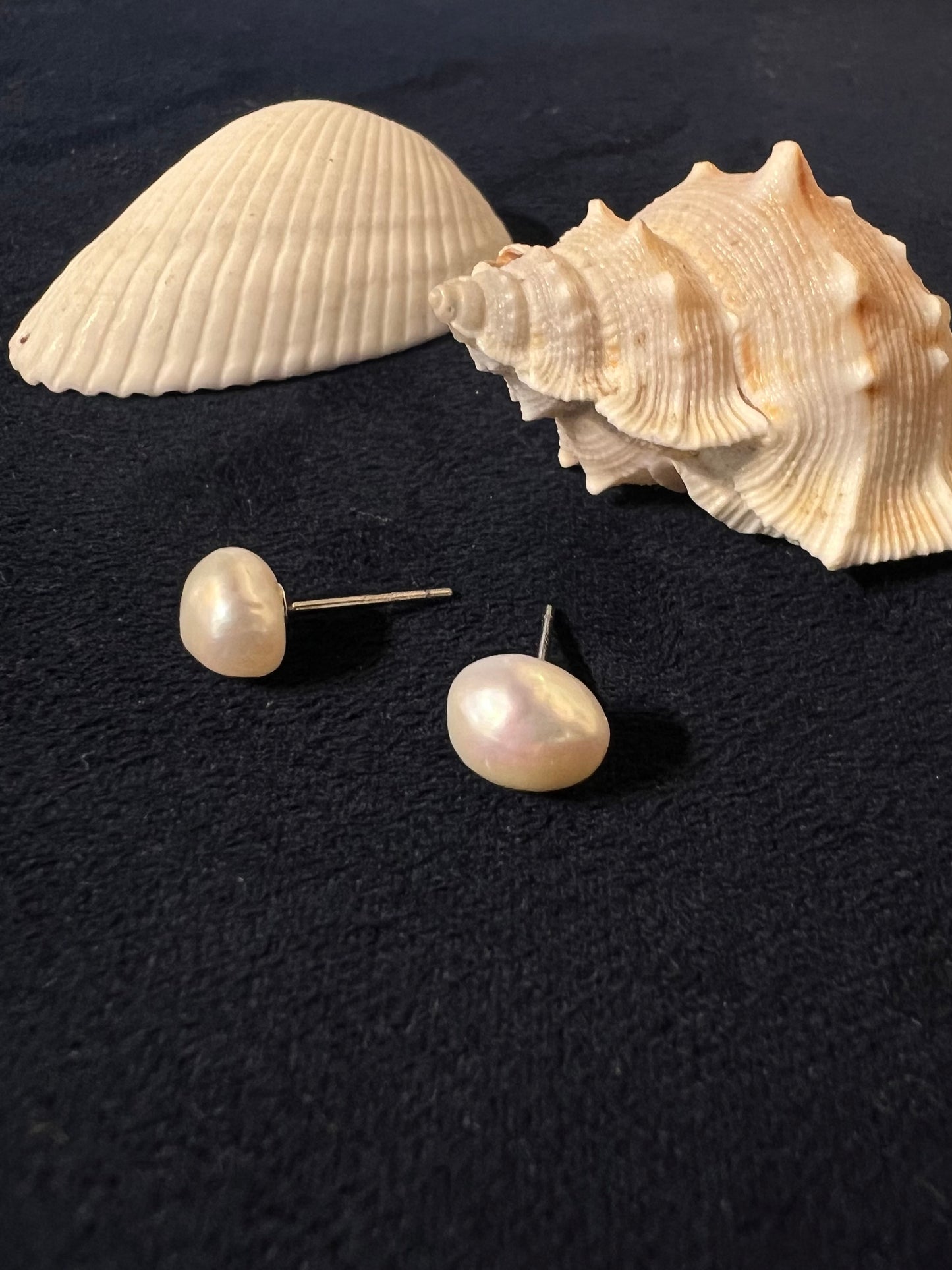 Stud pearls earrings