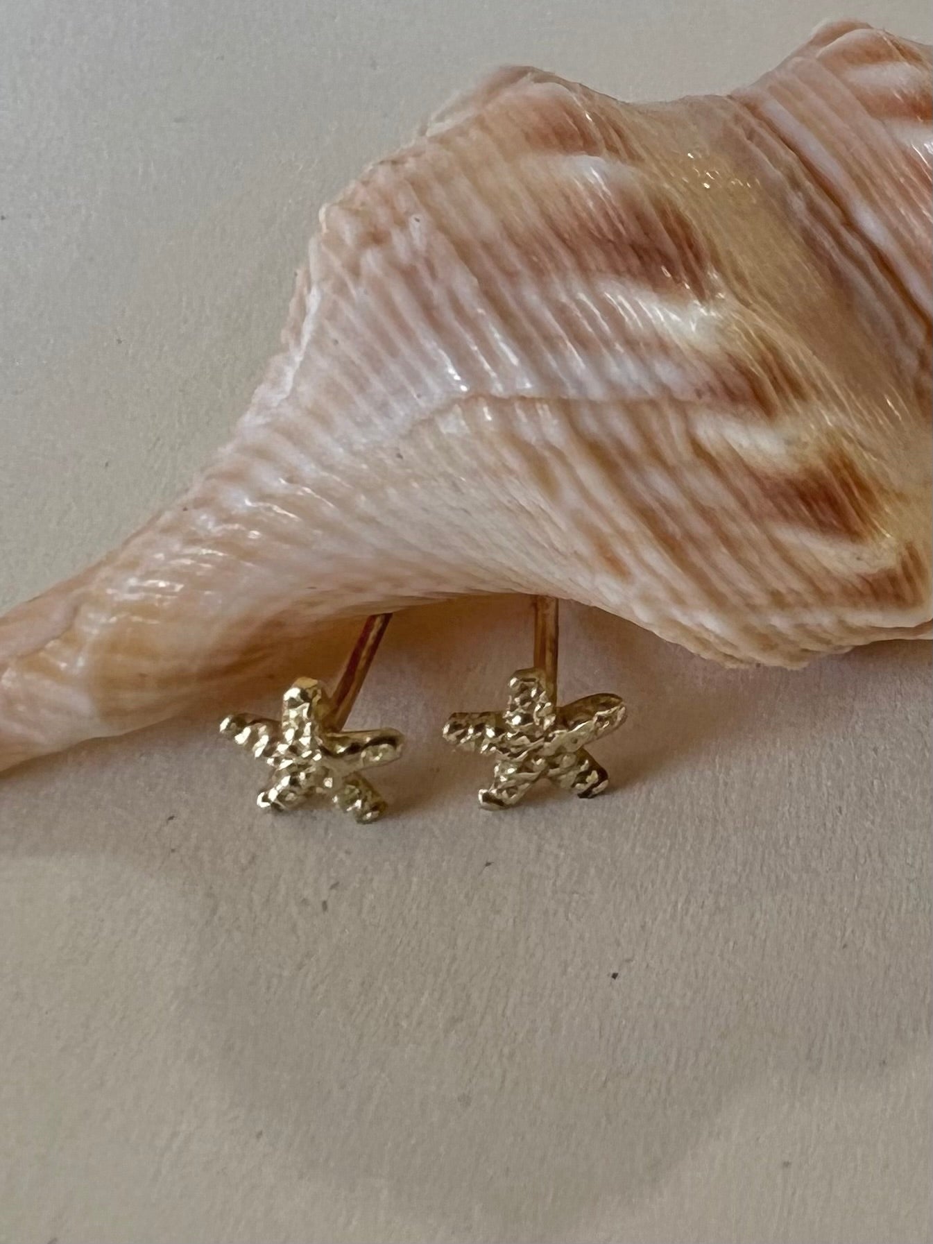 Tiny starfish earring - gold