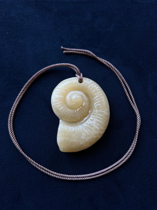 Nautilus