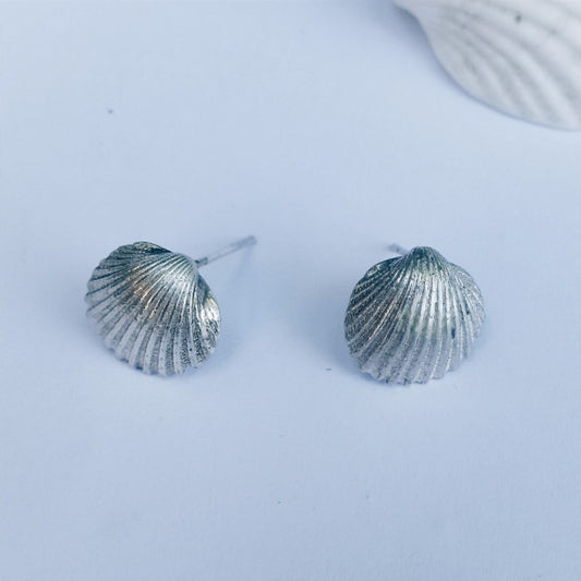 Israeli Seashell Earrings