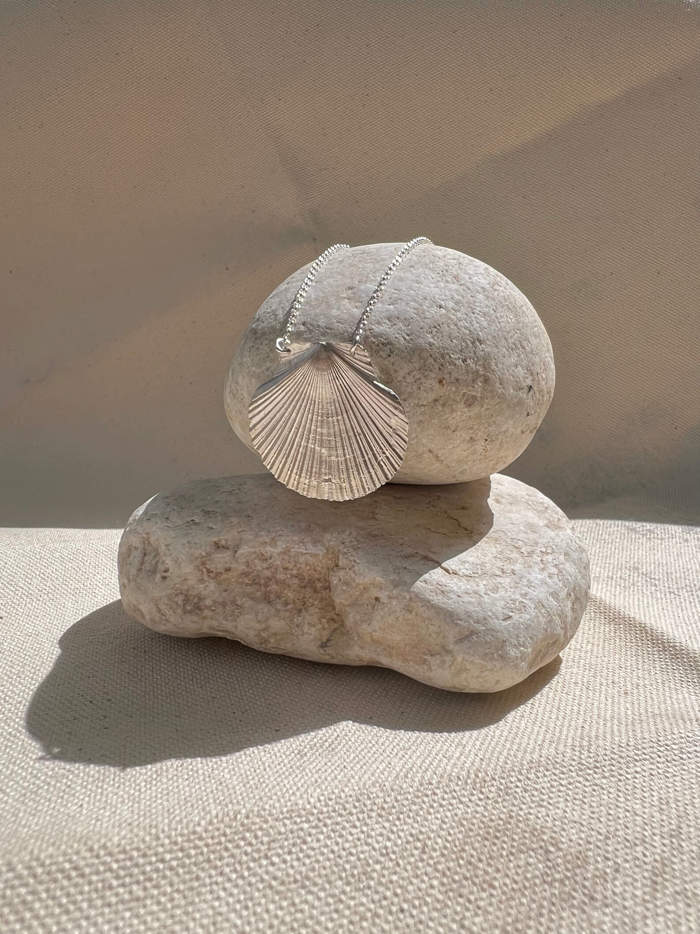Mexican Seashell