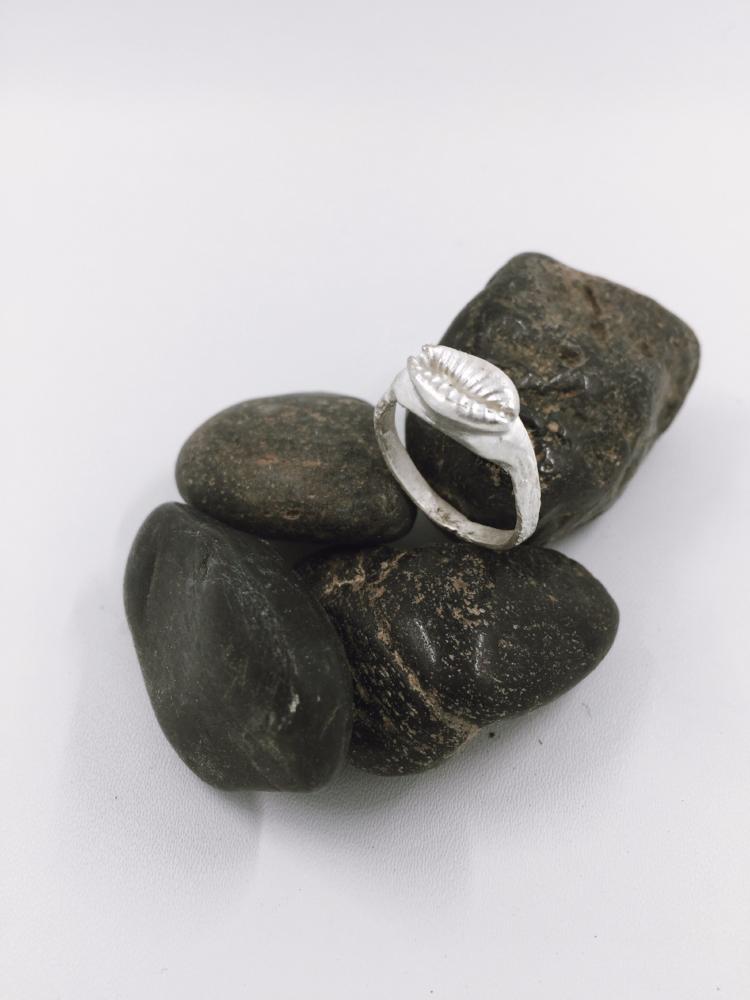 Raw cowrie seashell ring