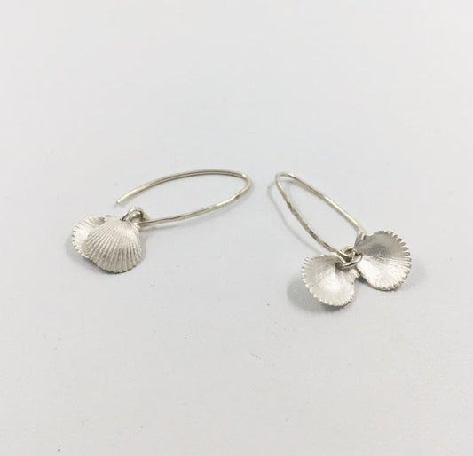 Clam seashell earrings