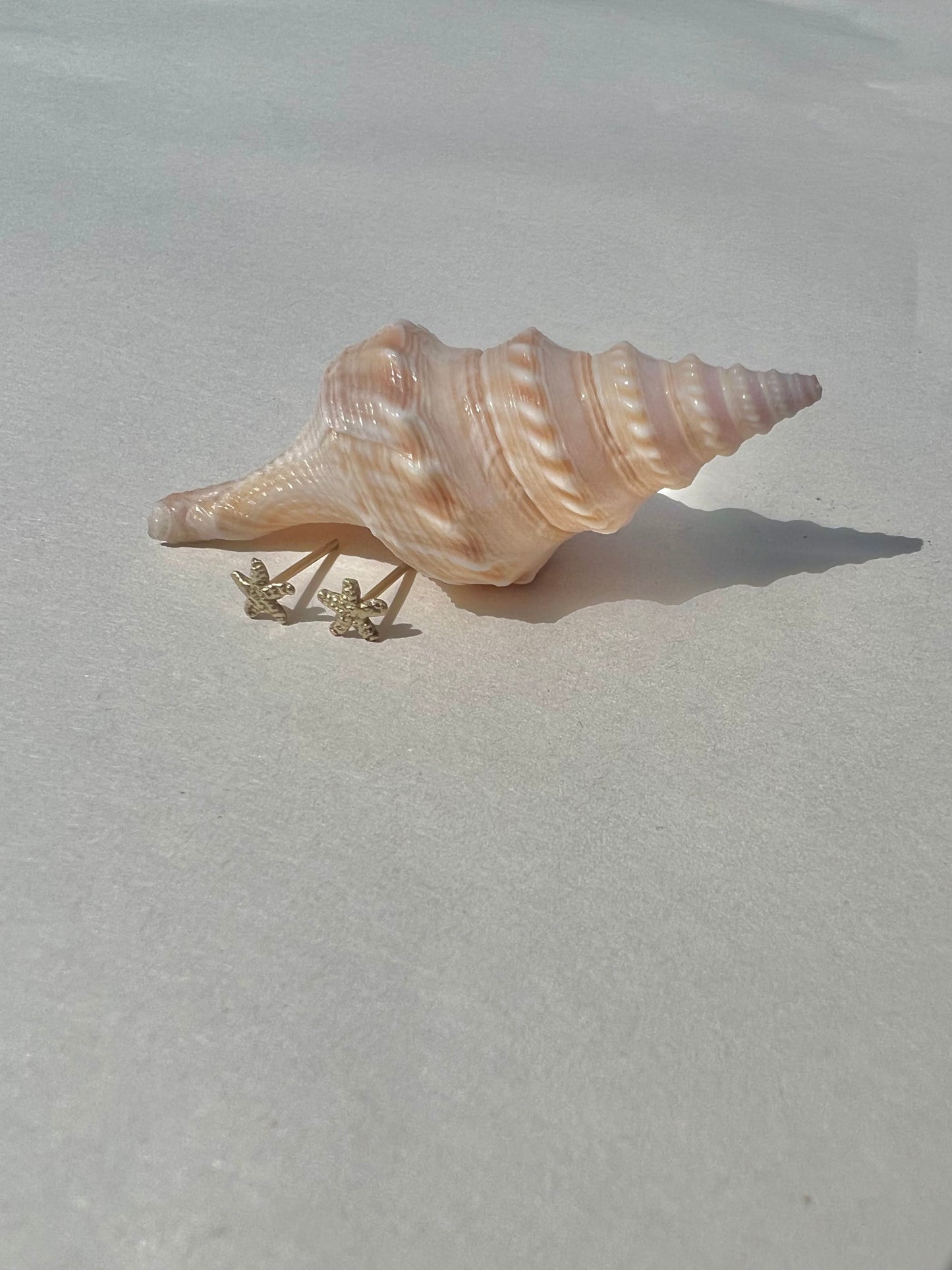 Tiny starfish earring - gold