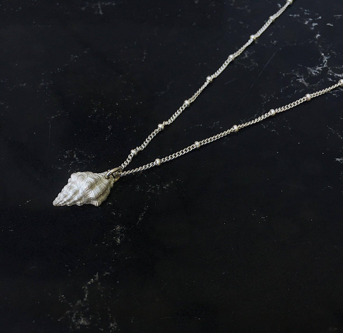 Neptune Seashell Necklace