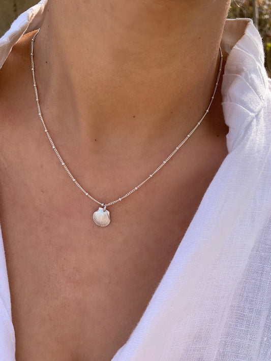 Naama seashell necklace